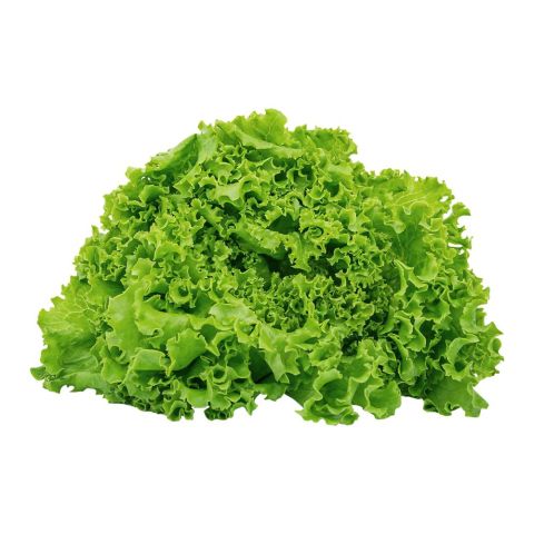 Fresh Basket Salad Leaves (Salad Patta)